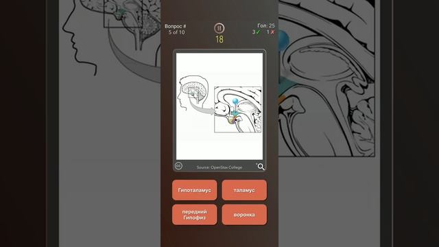 медицина и здоровье смотреть онлайн