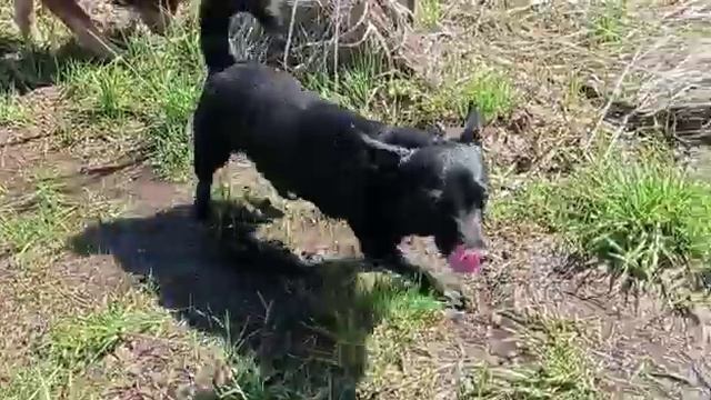 Умка и первые водные процедуры смотреть онлайн