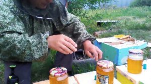 Заселяем нуклеусы пчелой .