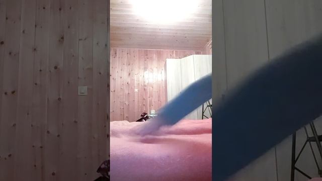 идею взяли если котики ходили в школу химия химия у вас попа синяя смотреть онлайн