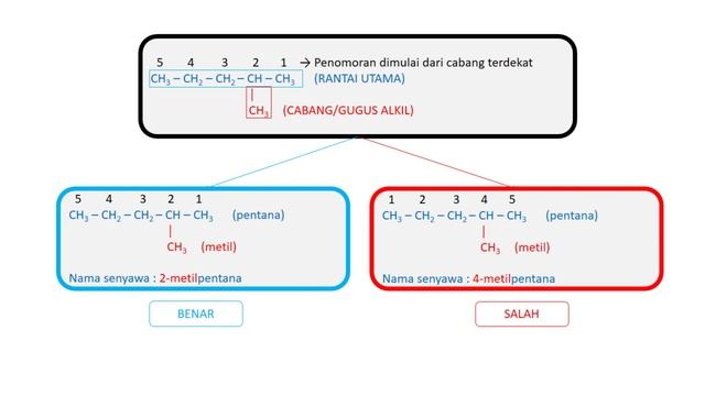 ALKANA, ALKENA, DAN ALKUNA (BAGIAN 1) - Alkana смотреть онлайн