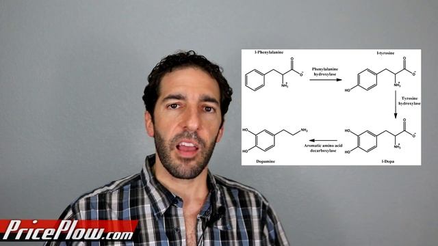 Axe & Sledge The Grind BCAA/EAA Review & Ingredient Explainer смотреть онлайн