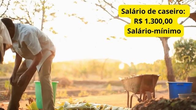 NEGÓCIOS DA ROÇA. Veja o que deu lucro e o que deu prejuízo. Casos reais. смотреть онлайн