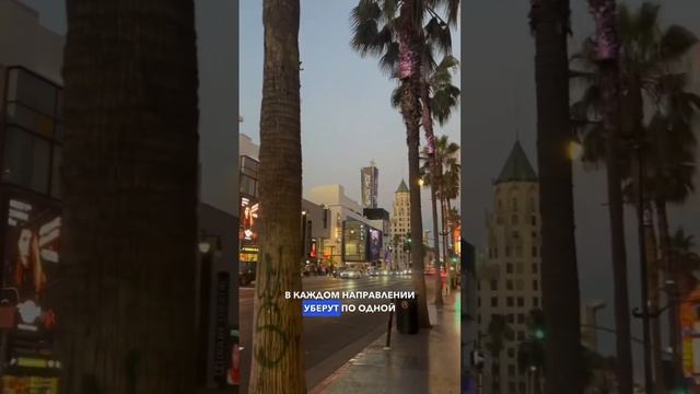 АЛЛЕЯ СЛАВЫ ПОТЕРПИТ ИЗМЕНЕНИЯ 🌟🆕 #иммиграция #жизньвсша #лосанджелес