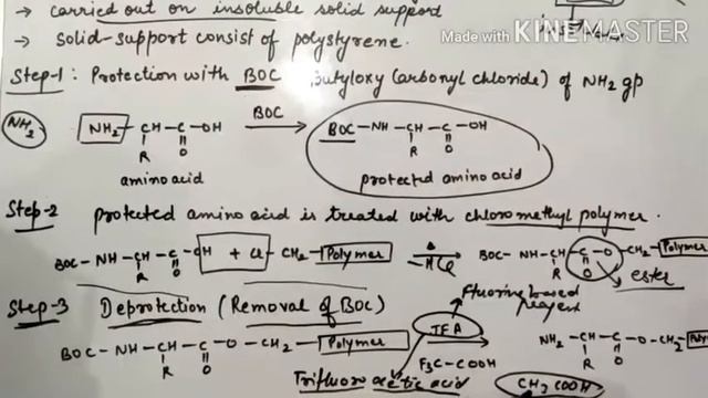 Solid Phase Peptide Synthesis|| Amino acids, peptides and proteins || lecture no 5|| B.Sc.|| смотреть онлайн