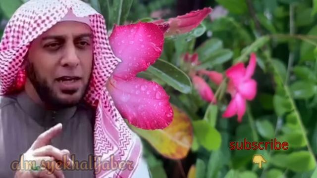 ali jaber || dimanapun kamu berada selalu wujudkan islam di hatimu смотреть онлайн