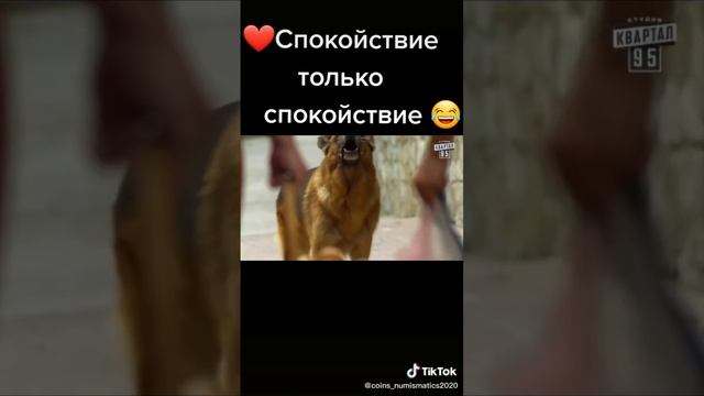 Формула спокойствия о Сибирского здоровья☘️🌲🌳🌱🌿☘️ смотреть онлайн