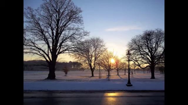 Phoenix park PH.m4v смотреть онлайн