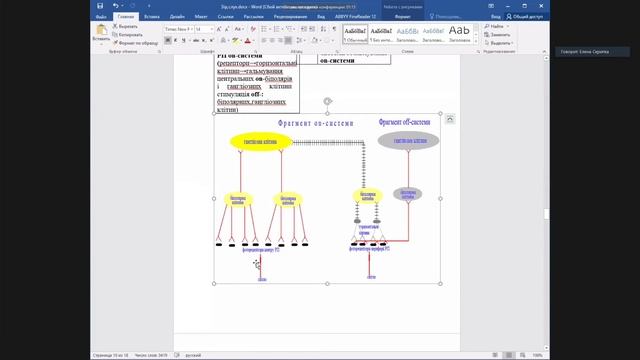 Лекция физиология №2 смотреть онлайн