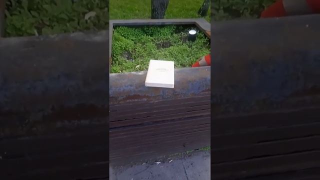 Эстетика Льва Толстого... смотреть онлайн
