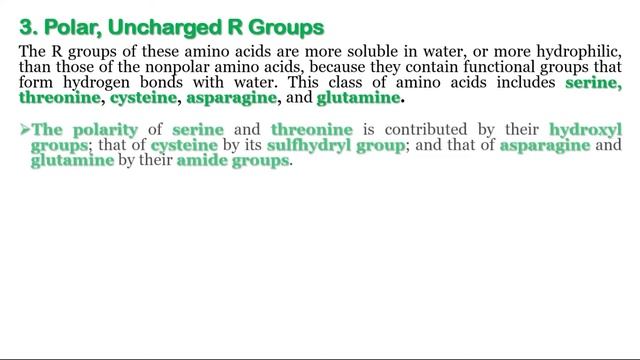Classification of amino acids | What are different types of amino acids | Proteomics смотреть онлайн