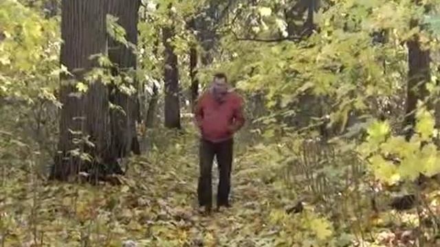 BIOTOPLIVO.mp4 смотреть онлайн