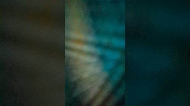 приключения баги и егра (4 серия ) папукапа в гостях у меня 💥очень долгая серия 💥 смотреть онлайн