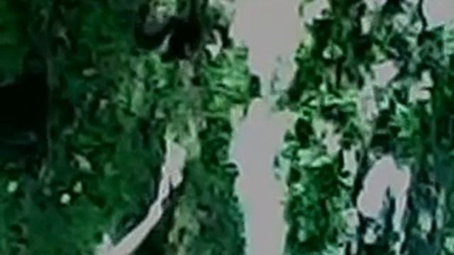 Адская белочка смотреть онлайн