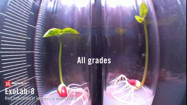 Grow a plant in Space смотреть онлайн