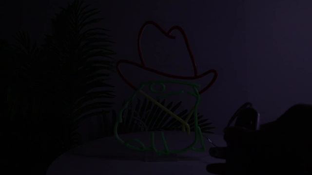 Frog Cowboy Neon Sign Professional LED Neon Light from MiMaik IP67 Waterproof смотреть онлайн