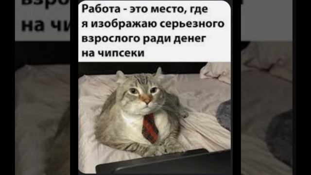 опять я проподаю😅