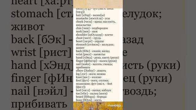 Аудио словарь. English. Тело. смотреть онлайн