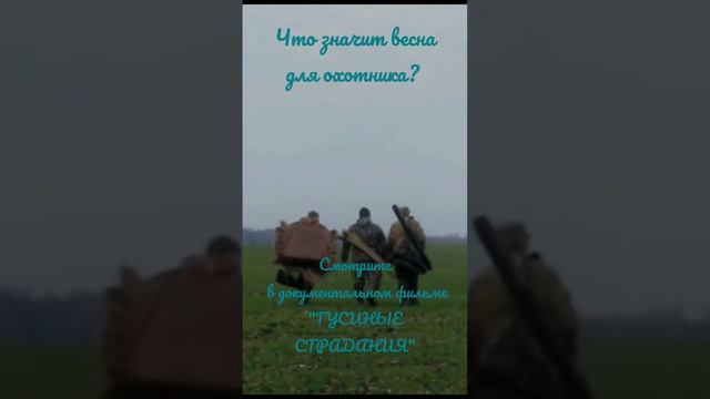 Текст "ГУСИНЫЕ СТРАДАНИЯ" (часть 3) смотреть онлайн