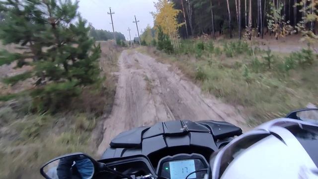 #санярулит#segway #выходные #ленточный бор смотреть онлайн