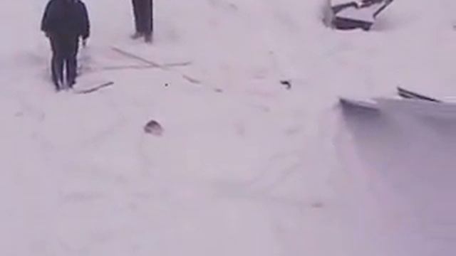 Кокон,Нургазы,Крыша смотреть онлайн