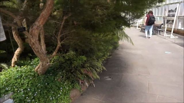 Glasgow Botanic Gardens Glass House Visit August 2019