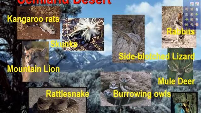 Terrestrial Biomes notes 1 смотреть онлайн