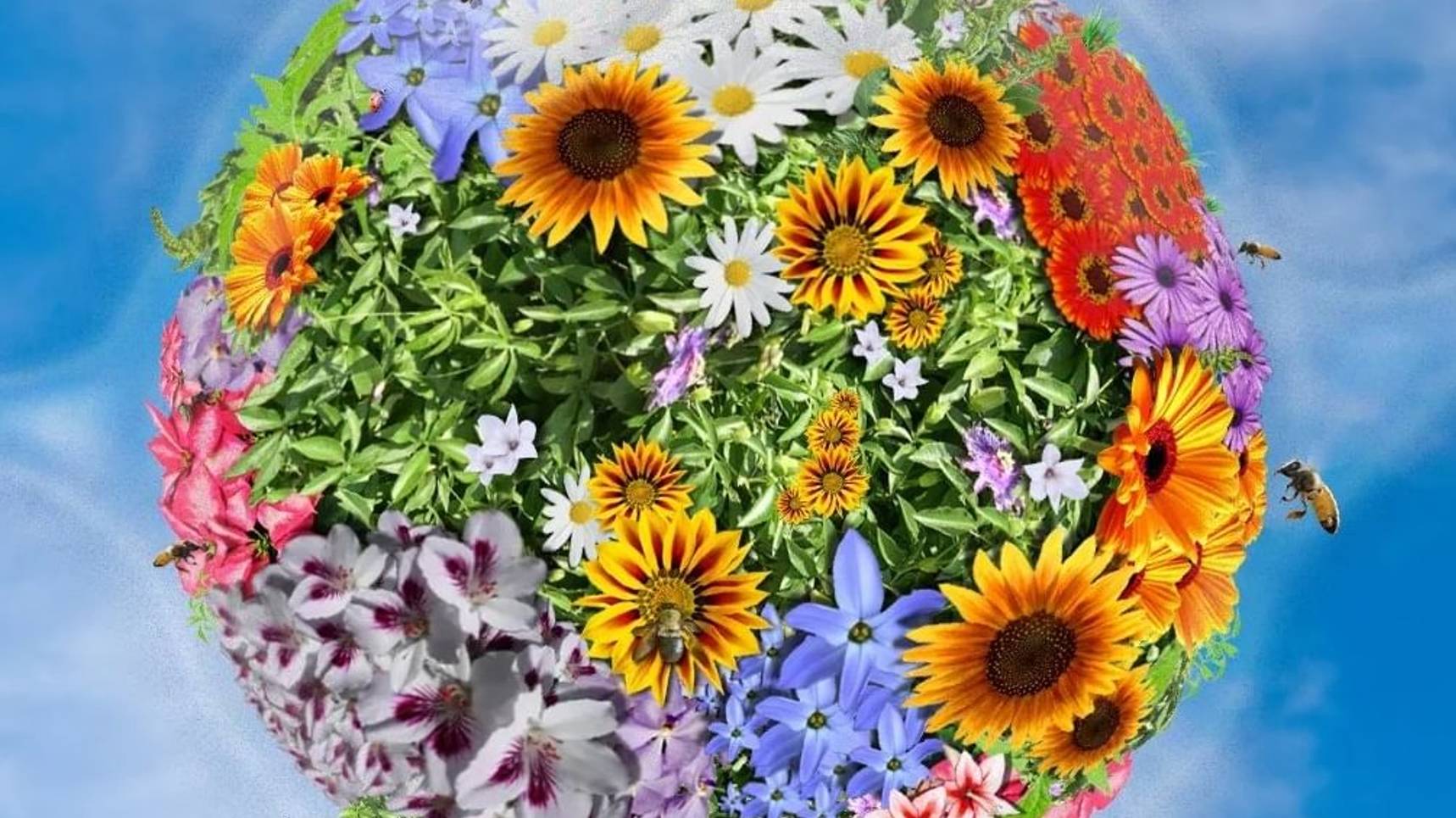 Райский сад БОГА на Земле будет!!! 11.11.24. смотреть онлайн