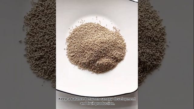 Prohexadione calcium 10% WDG For Apple and Cherry Shoot Growth Control смотреть онлайн