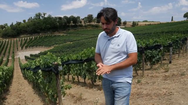 PODERE FORTE Siena смотреть онлайн