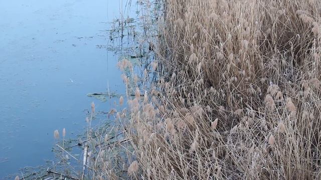 Смешные физические эксперименты