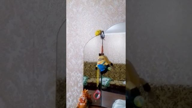 Как попугай Громко грызёт веточки погрызушки?! #попугай смотреть онлайн