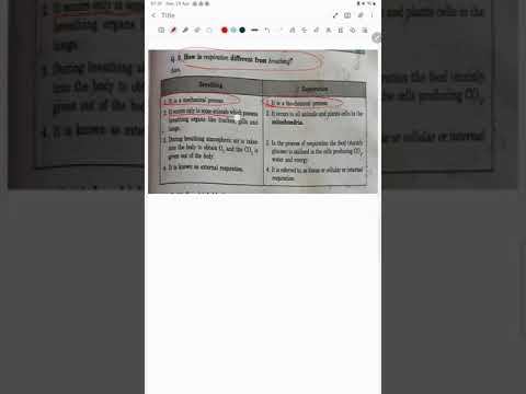how is respiration different from breathing смотреть онлайн