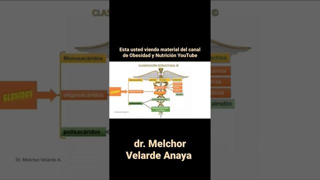 "Fibras buenas carbohidratos" смотреть онлайн