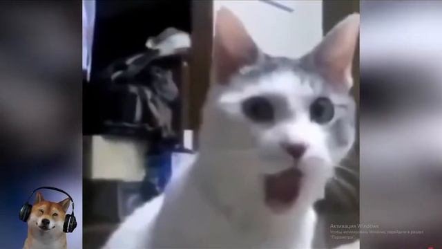 ЗАСМЕЯЛСЯ - ПОДПИСАЛСЯ!! ЛУЧШИЕ ПРИКОЛЫ 2021 ТЕСТ НА ПСИХИКУ УГАР! #402 (реакция) смотреть онлайн