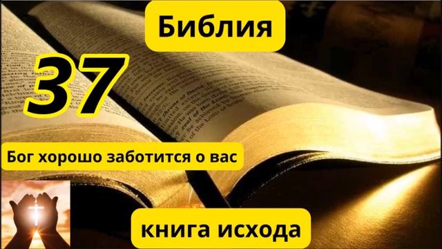 Глава 37 Исход смотреть онлайн