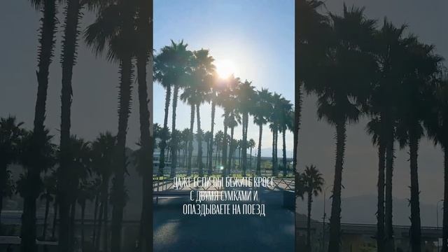 Функция работает на iPhone 14 pro max 🙌 смотреть онлайн