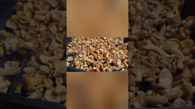 Забавные эксперименты с музыкой