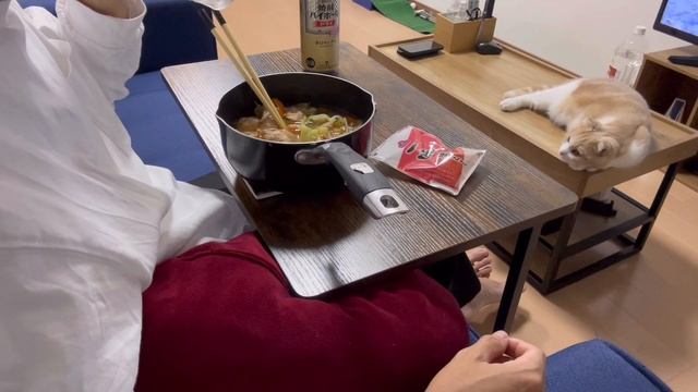 【vlog】土曜の午後/ぼっち飯/鳥の鍋/バツイチ一人暮らしおじさんのリアルな日常ルーティンday. 14 #バツイチ #一人暮らし #日常 смотреть онлайн