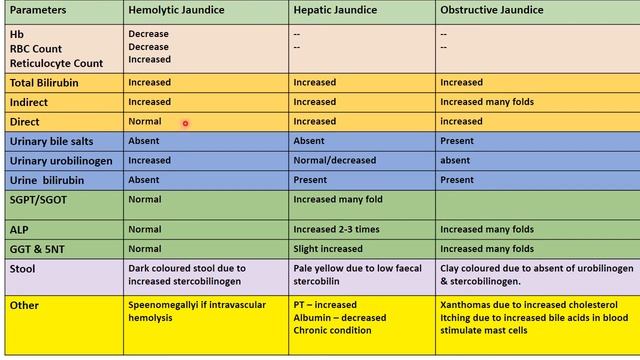 heme catabolism смотреть онлайн