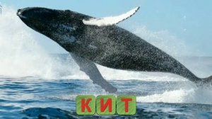 Вчимося читати-рятуй друзів. Вчимо букви, літери. Вчимося читати. Частина 1