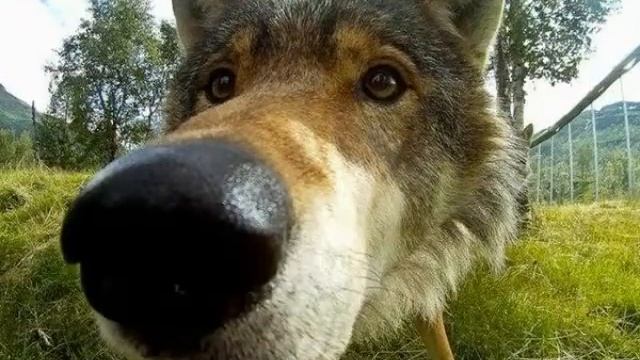 Клип тает лёд (слайд шоу) смотреть онлайн