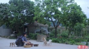 蛋黄酱：起沙滋油，咸鲜酥软 How to make Salted Duck Egg Yolk Sauce（Chinese Mayonnaise）| Liziqi Channel