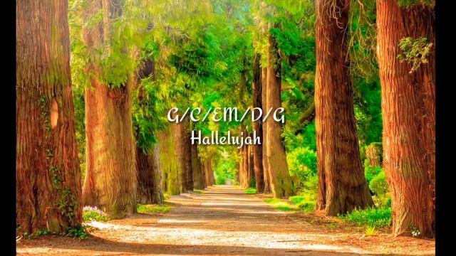HALLELUJAH Lyrics and Chords/ New Hindi worship song/new life city смотреть онлайн