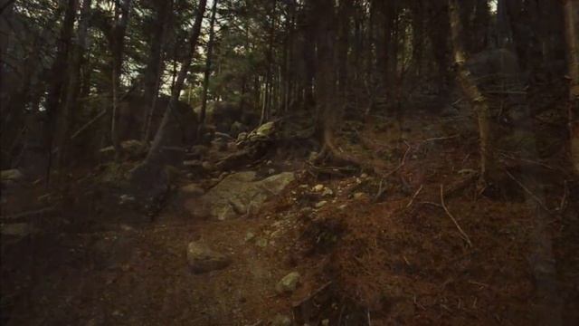 Волк песня смотреть онлайн