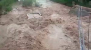 СЕЛИ КАЛОН ДАР ДАРËИ ШИРКЕНТ😳😲