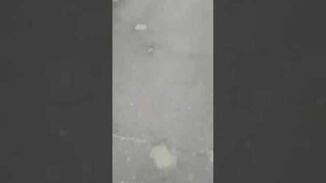 Красота🤤(дополнение к пути) смотреть онлайн