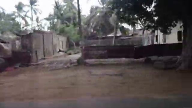 Шри Ланка фильм смотреть онлайн