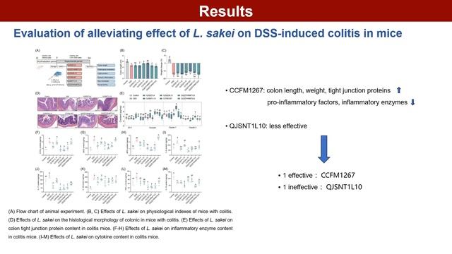 iMeta | Intra-specific difference of Latilactobacillus sakei on inflammatory bowel diseases смотреть онлайн