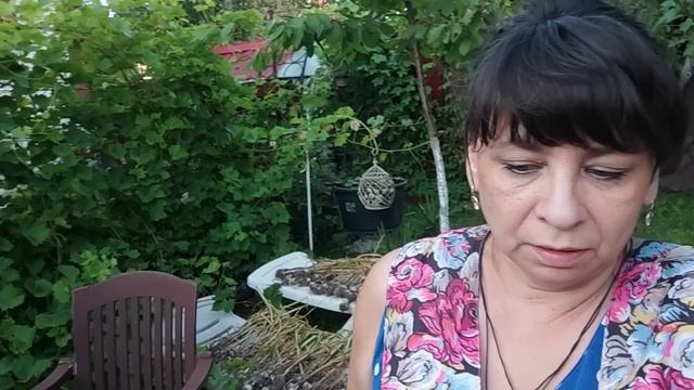 Разговор о переезде. Собираю новую мебель. Не дожидаясь фитофторы. Жизнь семьи в деревне. смотреть онлайн